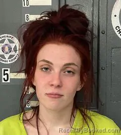 Mugshot of ALEXIS DOLLAR