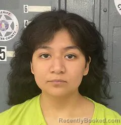Mugshot of KARLA MENDEZ