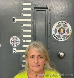 Mugshot of WENDY BARNES