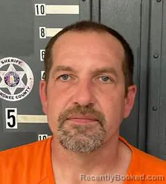 Mugshot of BRIAN SIMS