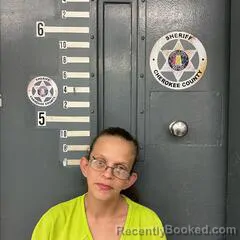 Mugshot of APRIL ELDERS