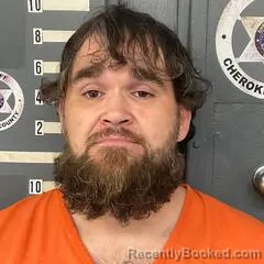 Mugshot of TERRY HENDERSON