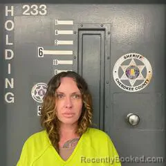 Mugshot of MELISSA SMITH