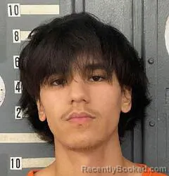 Mugshot of MICAH FLORES