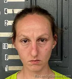 Mugshot of GINA JONES