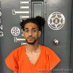 Mugshot of TRA CULBERTSON booked in Cherokee County, Alabama on April 3, 2026