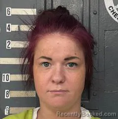 Mugshot of STEVIE THOMPSON booked in Cherokee County, Alabama on May 19, 2026