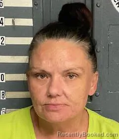 Mugshot of HEATHER BRAY booked in Cherokee County, Alabama on June 4, 2026