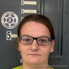 Mugshot of DIANNE KING booked in Cherokee County, Alabama on June 16, 2026