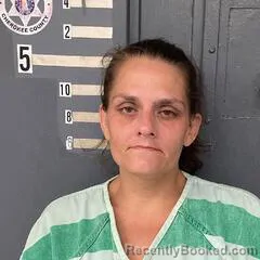 Mugshot of ASHLEY SPIVEY booked in Cherokee County, Alabama on July 8, 2026