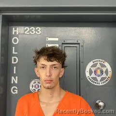 Mugshot of Bryson Dildine booked in Cherokee County, Alabama on July 26, 2026