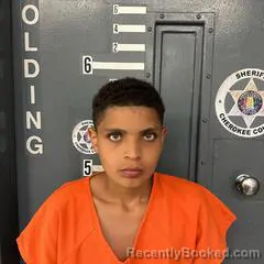 Mugshot of Jayden Cowser booked in Cherokee County, Alabama on August 23, 2026