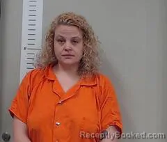 Mugshot of AMANDA DAY