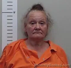 Mugshot of THERESA RODRIGUES