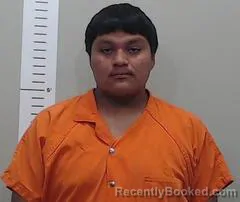 Mugshot of HENRY ROBERT OLARTE