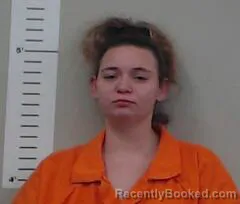 Mugshot of Annie James booked in Chilton County, Alabama on October 25, 2026