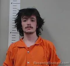 Mugshot of TYLER DRIVER