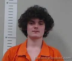 Mugshot of DAVID NELSON