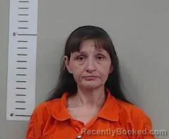 Mugshot of CHRISSY APARICIO