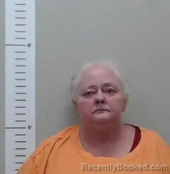 Mugshot of TAMMY ANDERSON