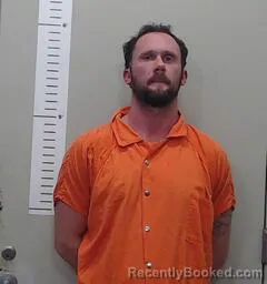 Mugshot of BRYAN WALLACE