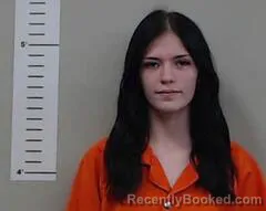 Mugshot of SHELBY LEDLOW