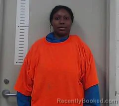 Mugshot of BRANDY CHAPPELL
