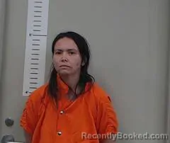 Mugshot of STEPHANIE HAMMOCK