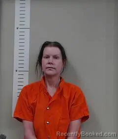 Mugshot of DONNA DAVIS