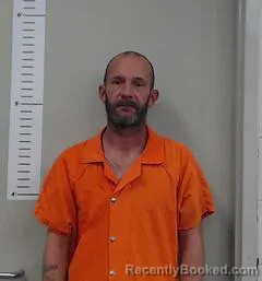 Mugshot of BRIAN MIMS