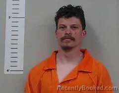 Mugshot of ASHTON WOODS