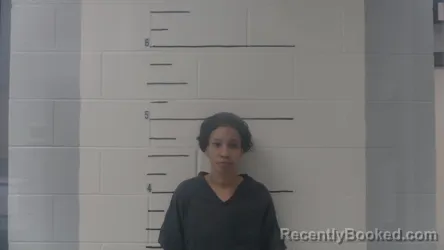 Mugshot of Shaquillie Lashon Mclemore