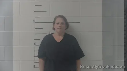 Mugshot of Amanda Kaye Andrews