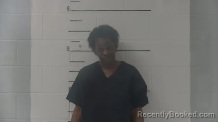 Mugshot of Tasha Michelle Simmons booked in Clay County, Alabama on March 22, 2026