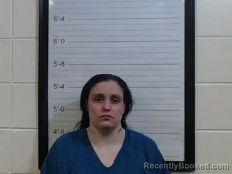 Mugshot of JESSICA LYN CLONTZ