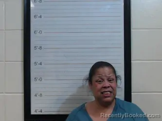 Mugshot of TINA LOUISE MERRITT