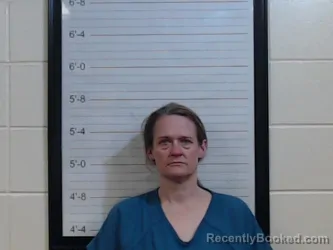 Mugshot of AMY MARIE LEE