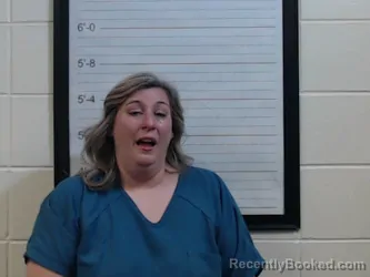 Mugshot of LINDSAY D JOHNSON