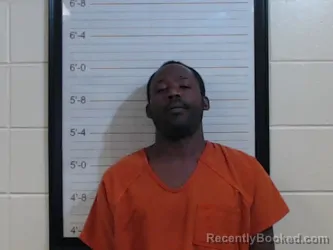 Mugshot of BRYAN DEON MCGEE