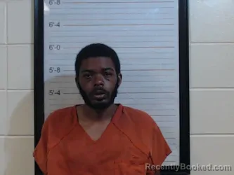 Mugshot of VAN III JOHNSON