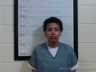 Mugshot of MAKAYLA ANN JOHNSON