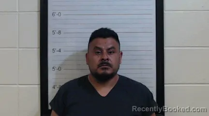Mugshot of JOEL GONZALEZ YANEZ