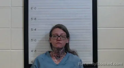 Mugshot of HEATHER NICOLE HILL
