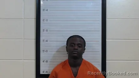 Mugshot of BRANDON MICHAEL DOWLING