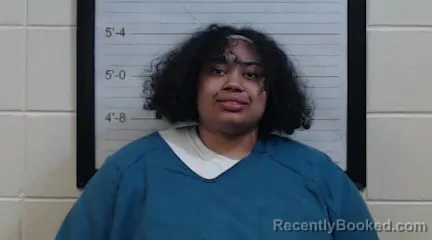 Mugshot of TARA LEIGH MCGHEE