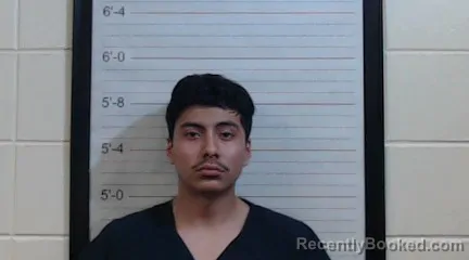 Mugshot of EDWIN MANUEL HERNANDEZ ARIAS