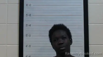 Mugshot of LASHAY MICHELLE GIBSON