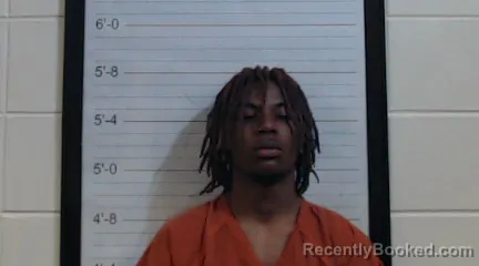 Mugshot of JOSHUA MARSHALL