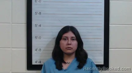 Mugshot of ADAELSY VEGA DIAZ booked in Coffee County, Alabama on June 19, 2026