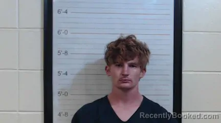 Mugshot of AUSTIN BRANDON WEBSTER booked in Coffee County, Alabama on June 24, 2026